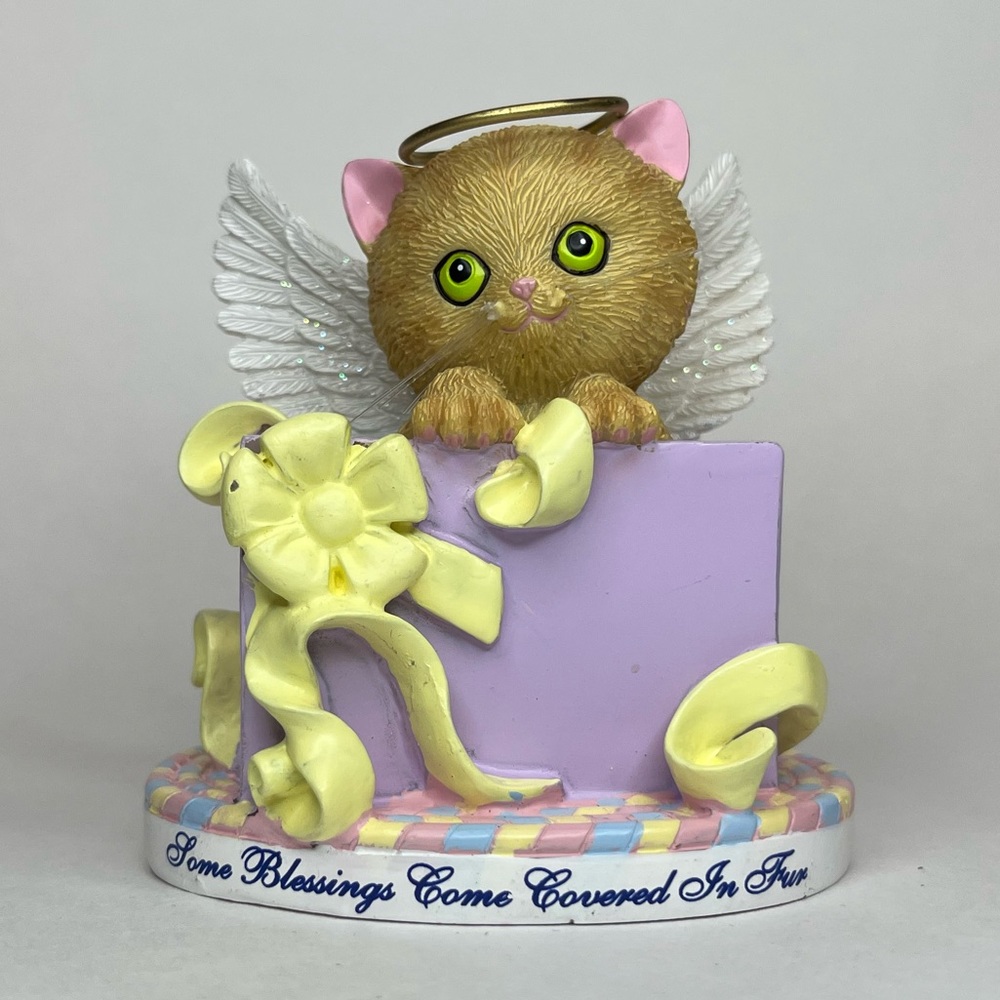 My Kitten, My Angel Collection